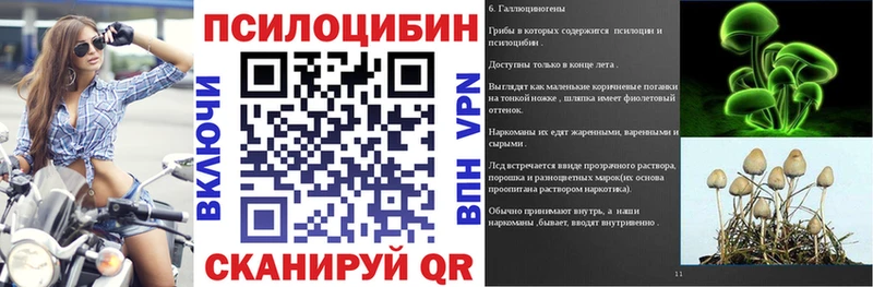 ОМГ ОМГ ссылка Волосово Галлюциногенные грибы Cubensis